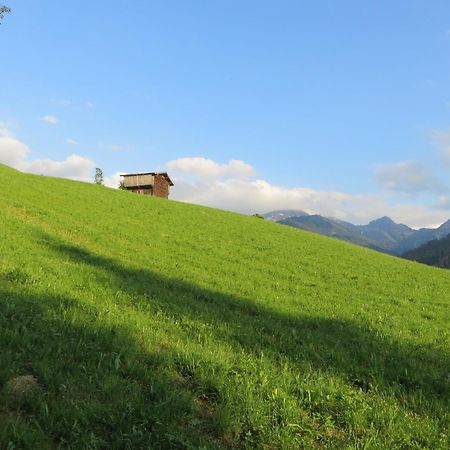 Pension Muehlbachhof Alpbach Exterior photo