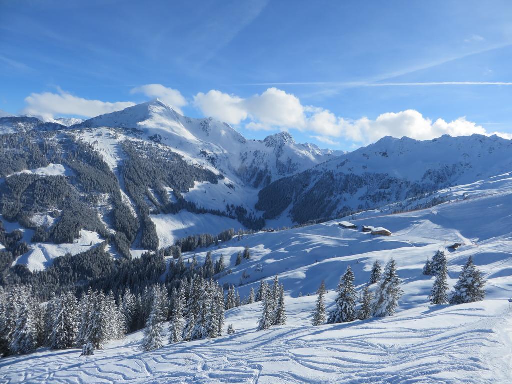 Pension Muehlbachhof Alpbach Exterior photo