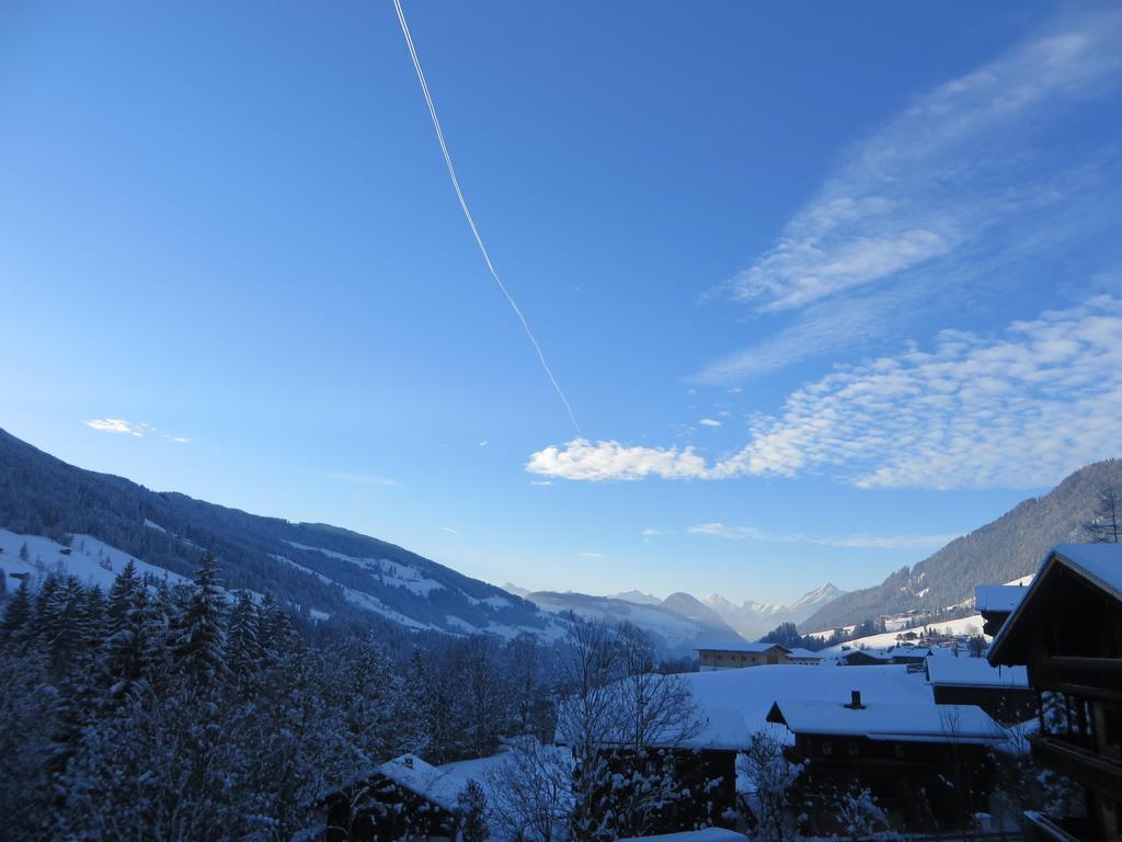 Pension Muehlbachhof Alpbach Exterior photo